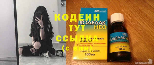 2c-b Краснослободск